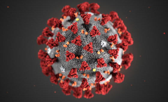 Вспышка коронавируса — чрезвычайная ситуация международного значения