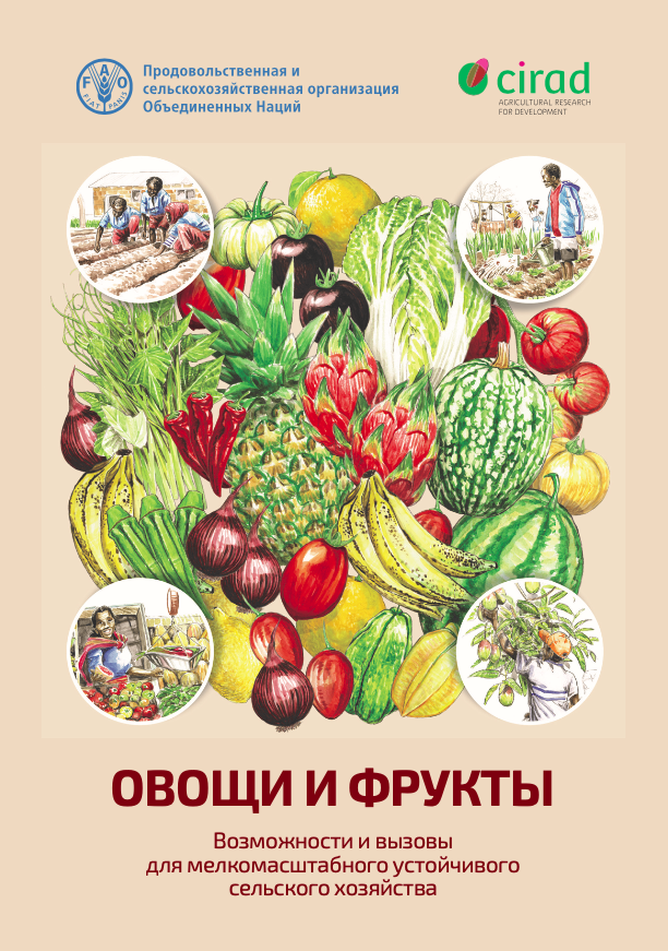 Овощи и фрукты. Возможности и вызовы для мелкомасштабного устойчивого сельского хозяйства