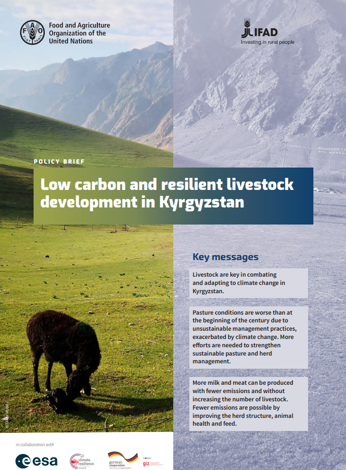 Policy brief: Low carbon and resilient livestock development in Kyrgyzstan