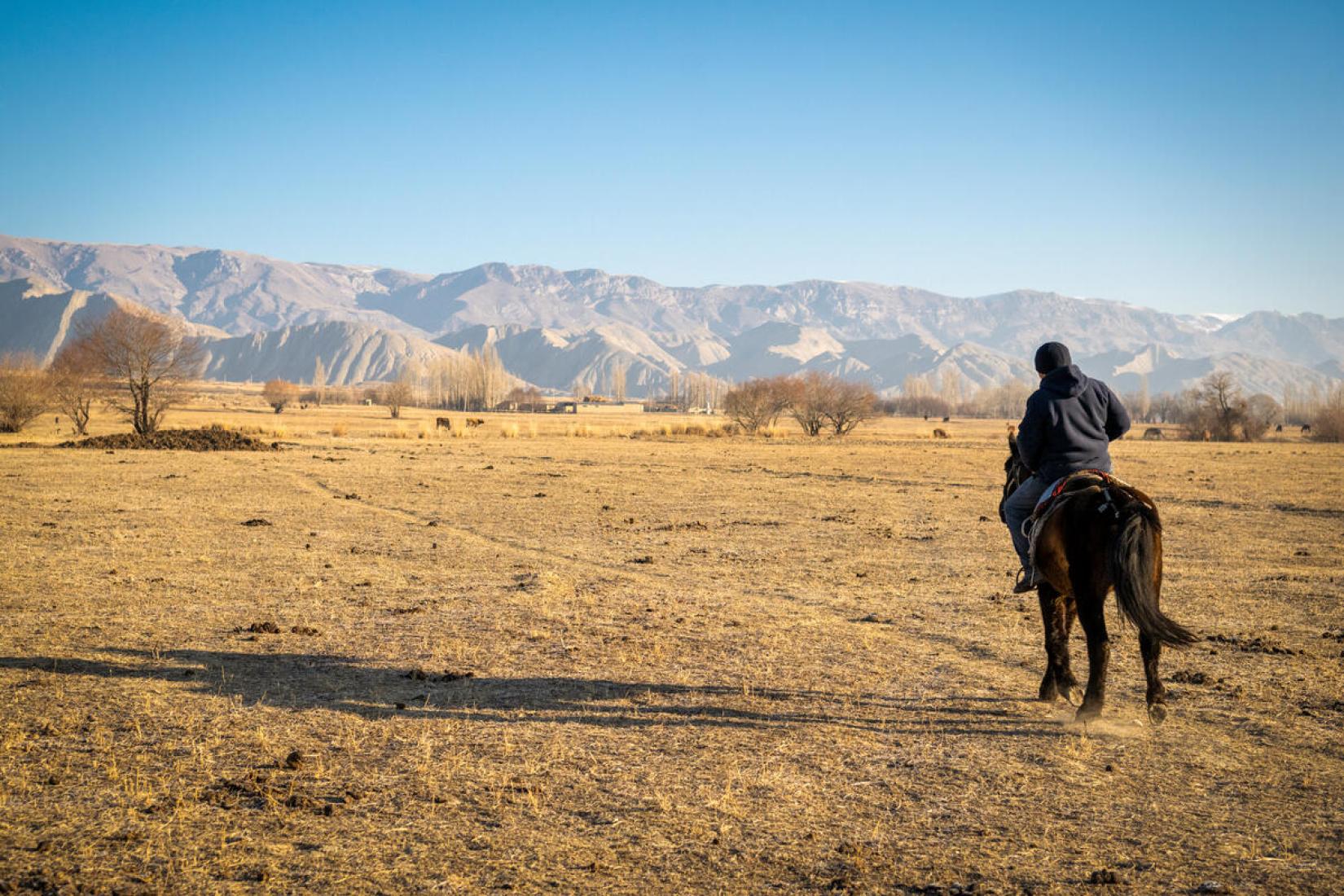 Climate related disasters have increased by 150 percent since 2010