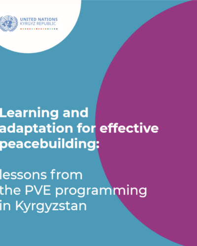 Learning and Adaptation for Effective Peacebuilding Report