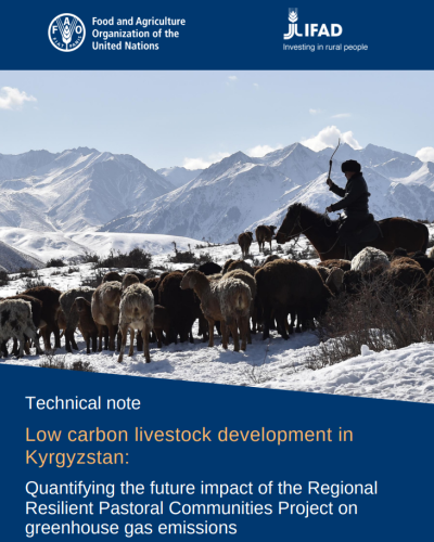 Technical Note: Low carbon livestock development in Kyrgyzstan