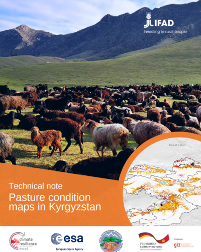 Pasture Condition Maps in Kyrgyzstan
