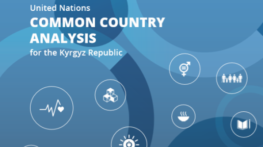 UN Common Country Analysis for the Kyrgyz Republic