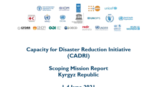 CADRI Scoping Mission Report Cover