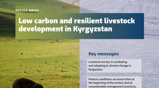 Policy brief: Low carbon and resilient livestock development in Kyrgyzstan