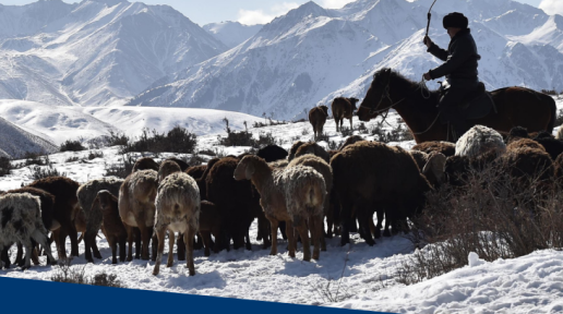 Technical Note: Low carbon livestock development in Kyrgyzstan