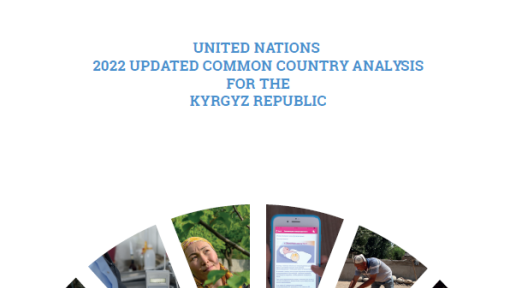 Common Country Analysis Report Cover