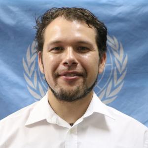Dr. Patrick Goettner works in the Technical Cooperation Section of the United Nations Conference on Trade and Development (UNCTAD) and has more than 7 years of experience working on inter-agency coordination and the implementation of trade and development programmes in different countries around the globe. 